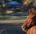Historic Oak Hill House Estate Truffle Gourmet Festival Region - Tweed Heads Accommodation