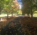 A peaceful cabin in the country - Tweed Heads Accommodation