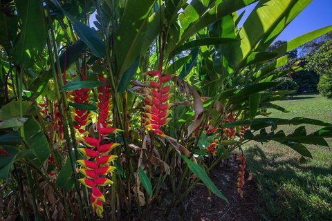 The Figs Byron - Tweed Heads Accommodation 6