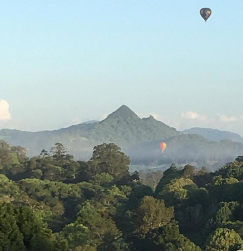 The Figs Byron - Tweed Heads Accommodation 5