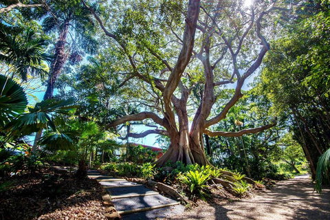 The Figs Byron - Tweed Heads Accommodation 2