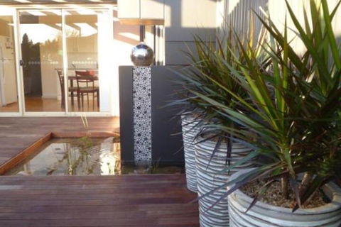 The Wet Lizard - Tweed Heads Accommodation 0