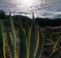 Ven  Marks Place - Tweed Heads Accommodation