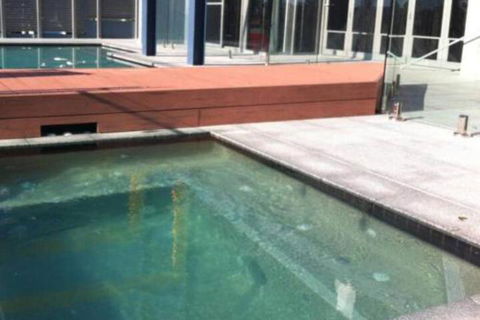 Azul Del Mar - Tweed Heads Accommodation 5