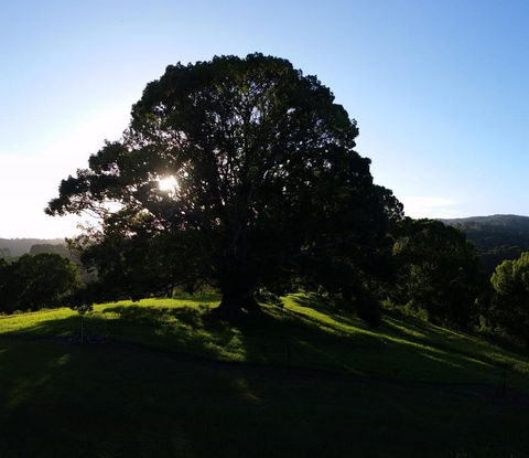 Valleydale Cottage - Tweed Heads Accommodation 1