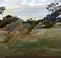 Young Budget Accommodation - Tweed Heads Accommodation