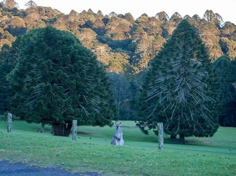 Escape To The Country - Enjoy The Firepit Or Explore Magical Bunya Mountains - Tweed Heads Accommodation 0