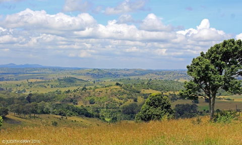 Escape To The Country - Enjoy The Firepit Or Explore Magical Bunya Mountains - Tweed Heads Accommodation 3