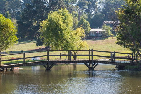 Serenity Merricks North Cottage - Tweed Heads Accommodation 4