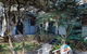 Pet Friendly Bennetts Beach Cottage - thumb 5