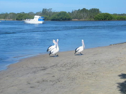 Just 4 Fun - Tweed Heads Accommodation 5