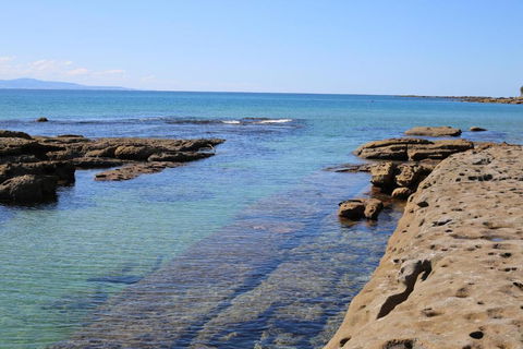 The Crescent Pet Friendly 1 Min To Beach - Tweed Heads Accommodation 1
