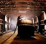 Pieter van Gent Winery  Vineyard - Tweed Heads Accommodation