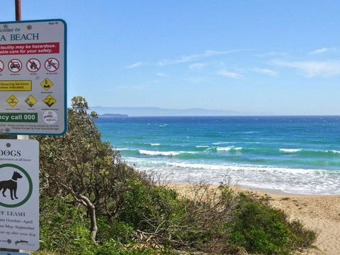 Shady Palms Modern Beach House With Studio - Tweed Heads Accommodation 2