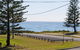 The Penguins Head Across From The Beach - thumb 4