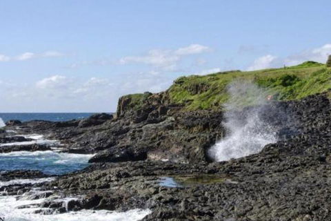 Seaview On Boanyo Ocean Views & Close To Beach - Tweed Heads Accommodation 5