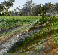 Renovated Cottage Aberdare Hunter Valley - Tweed Heads Accommodation
