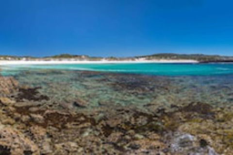 Hanson Bay Wildlife Sanctuary And Cabins - Tweed Heads Accommodation 0
