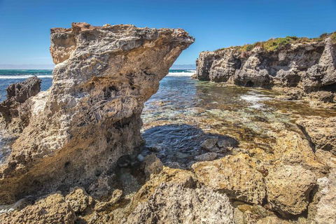 Hanson Bay Wildlife Sanctuary And Cabins - Tweed Heads Accommodation 2
