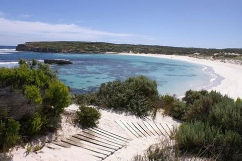 Hanson Bay Wildlife Sanctuary And Cabins - Tweed Heads Accommodation 1