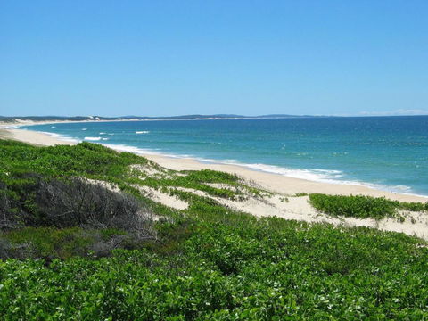 Pet Friendly On Pelican Close To Myall River - Tweed Heads Accommodation 3