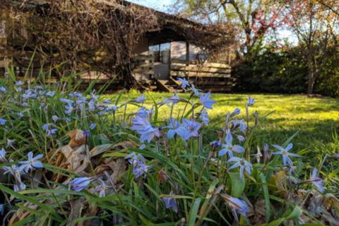 Alexander Cottage - Tweed Heads Accommodation 3