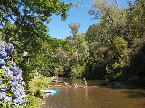 Jamieson Caravan Park - Tweed Heads Accommodation 6