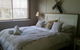 Wyreepi River Cottage - thumb 4