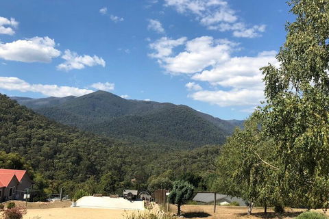 Alpine Stag Lodge Unit 2 - Tweed Heads Accommodation 7