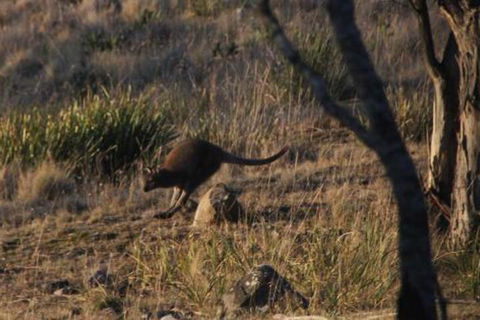 The Great House Bnb - Tweed Heads Accommodation 3