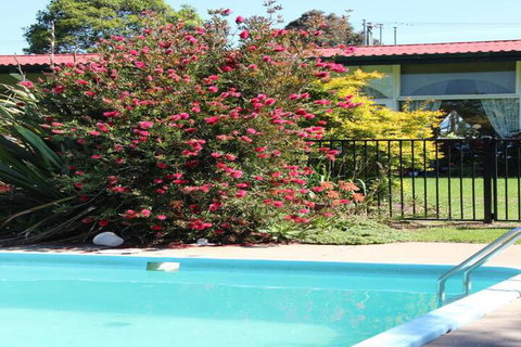 The Wurruk Motel - Tweed Heads Accommodation 4