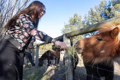 Jervis Bay Luxury Farm Escape - Tweed Heads Accommodation 5
