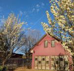 Magenta Cottage - Tweed Heads Accommodation