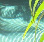 Artizen - Tweed Heads Accommodation