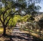 Capers Guesthouse Barn  Cottage - Tweed Heads Accommodation