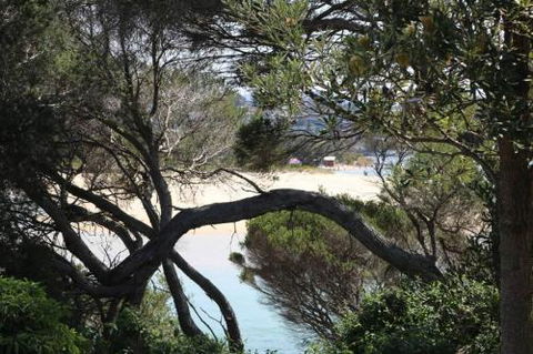 Albatross Unit 6 - Tweed Heads Accommodation 2