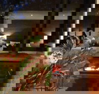 Hidden Valley Forest Retreat - Tweed Heads Accommodation