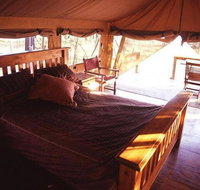 Jabiru Safari Lodge - Tweed Heads Accommodation