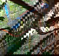 Bright Highland Valley Cottages - Tweed Heads Accommodation