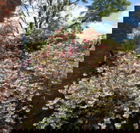 Merrimeet Cottages - Tweed Heads Accommodation