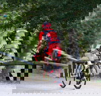 NRMA Bright Holiday Park - Tweed Heads Accommodation