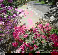 Gatekeepers Traditional Bed  Breakfast - Tweed Heads Accommodation