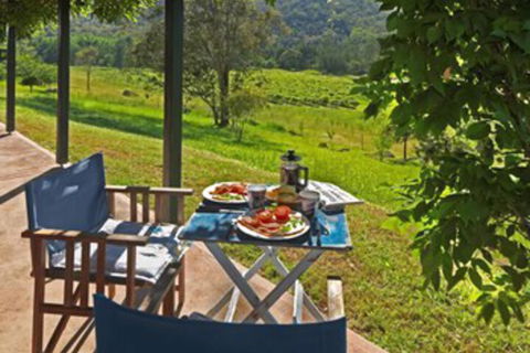 Cedar Creek Cottages - Tweed Heads Accommodation 1