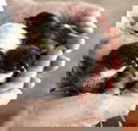 Margaret River Hideaway - Tweed Heads Accommodation