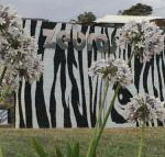 Zebras Guest House - Tweed Heads Accommodation