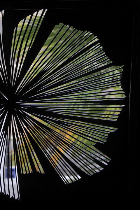 Valle Vista Luxury Apartments - Tweed Heads Accommodation 2