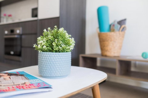 Willis Wolli Crk 73 - Tweed Heads Accommodation 1