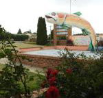 Big Trout Motel - Tweed Heads Accommodation