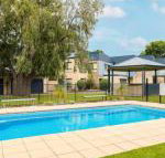 Penguins by the Beach - Tweed Heads Accommodation