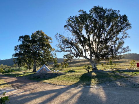 Mansfield Glamping - Tweed Heads Accommodation 3